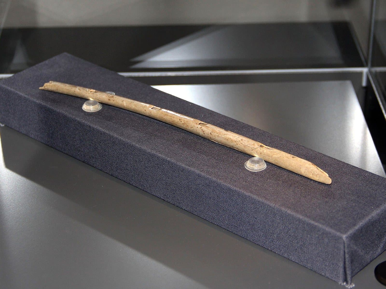 A slender bone flute lying on a dark cloth-covered mount in a museum display case.