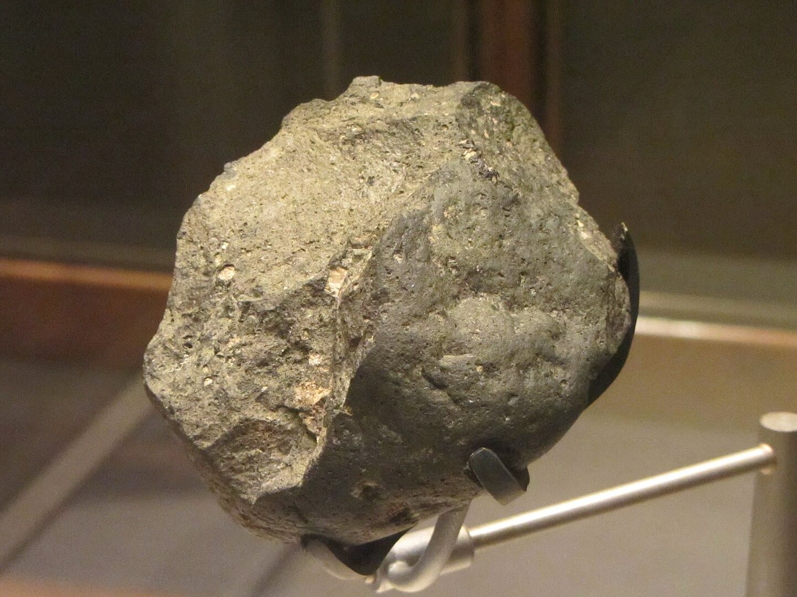 A rounded basalt chopping tool with flaked edges, mounted on a stand in a museum case.