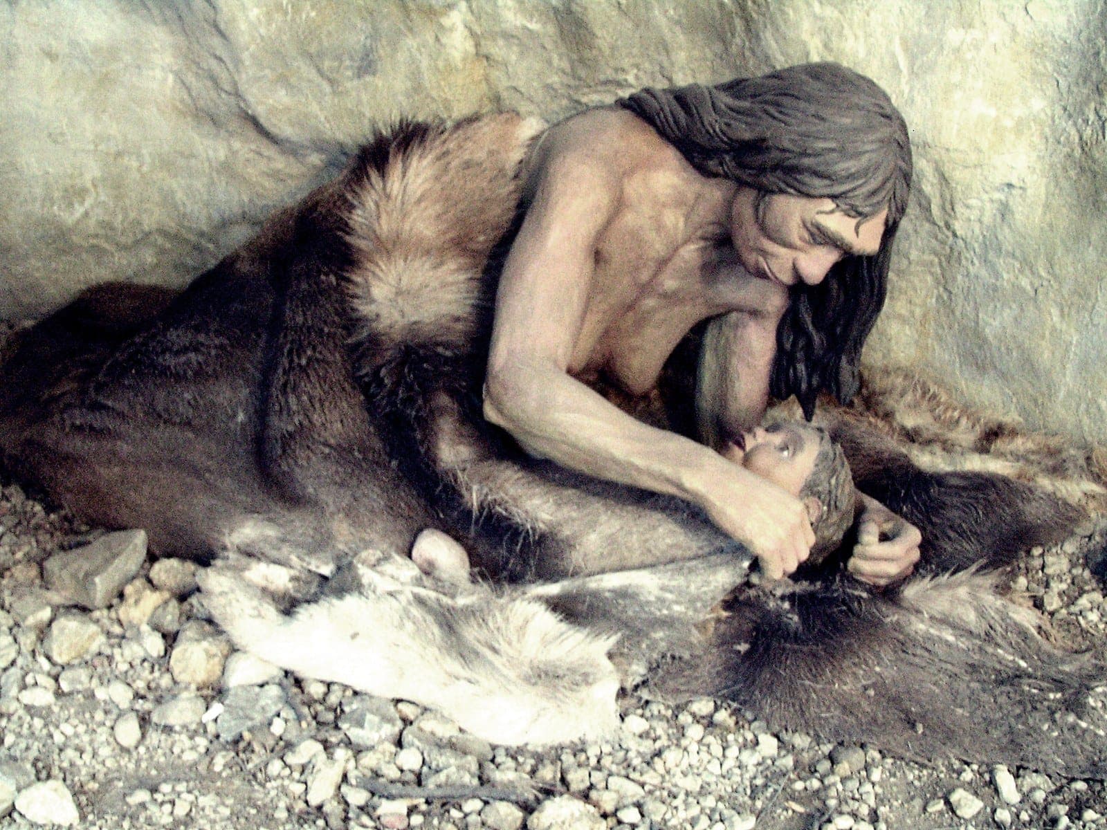 A museum diorama of a Neanderthal woman with long dark hair lying on animal furs and looking down at a small child, against a rock wall.
