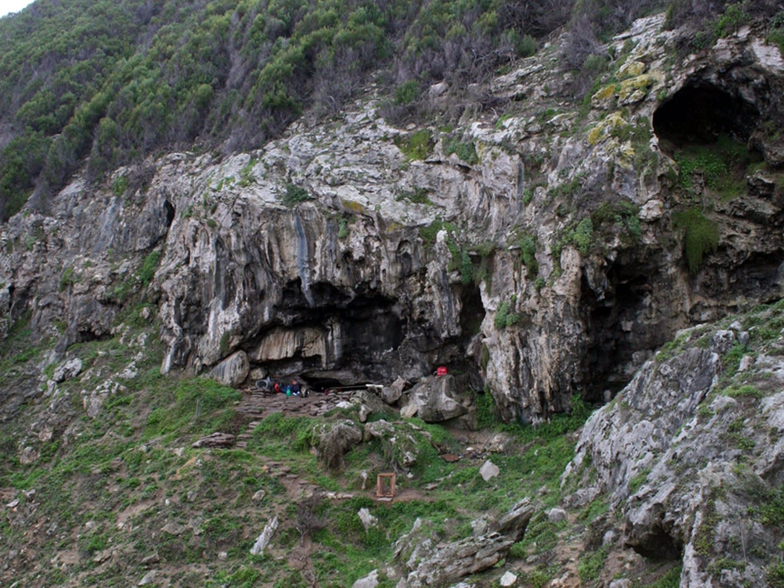 A rocky coastal cliff with a cave opening, grass and shrubs on the slope, at Blombos Cave in South Africa.