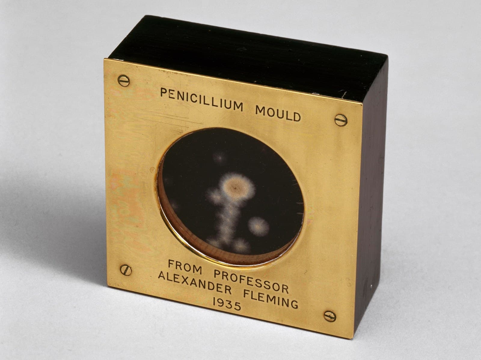 A small brass case with a glass window holding a sample of penicillium mould, labeled from Professor Alexander Fleming, 1935.